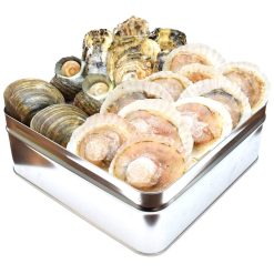 貝の海宝焼 牡蠣 さざえ ホンビノス貝 ほたて片貝 冷凍 冷凍貝セット（牡蠣ナイフ、片手用軍手付）カンカン焼き ミニ缶入 海鮮バーベキューセット プレゼント ギフト (牡蠣４個 さざえ２個 ホンビノス貝２個 ほたて片貝１０個)