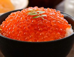 港ダイニングしおそう 鱒イクラ 醤油漬け 500g 小粒 北海道加工 いくら イクラ 魚卵 贈り物 プレゼント ギフト