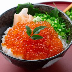 尾張まるはち いくら 醤油漬け 鱒卵 冷凍 500g